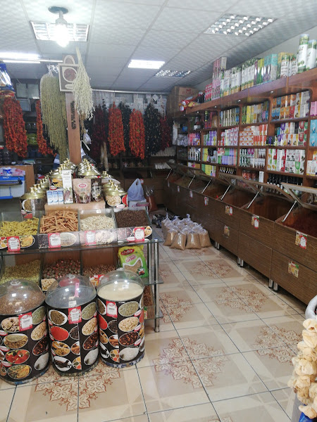 ASUDE BAHARATLARI (GÜR TİC.)