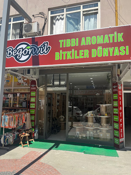 Begonvil Tıbbi Aromatik Bitkiler Dünyası