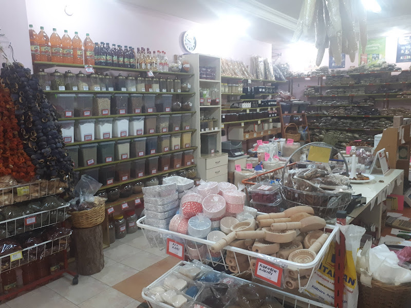 Çeşni Şifalı Bitkiler