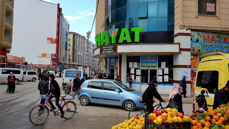 Hayat AVM