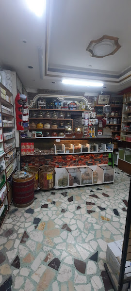 Karadeniz Lokman Hekim