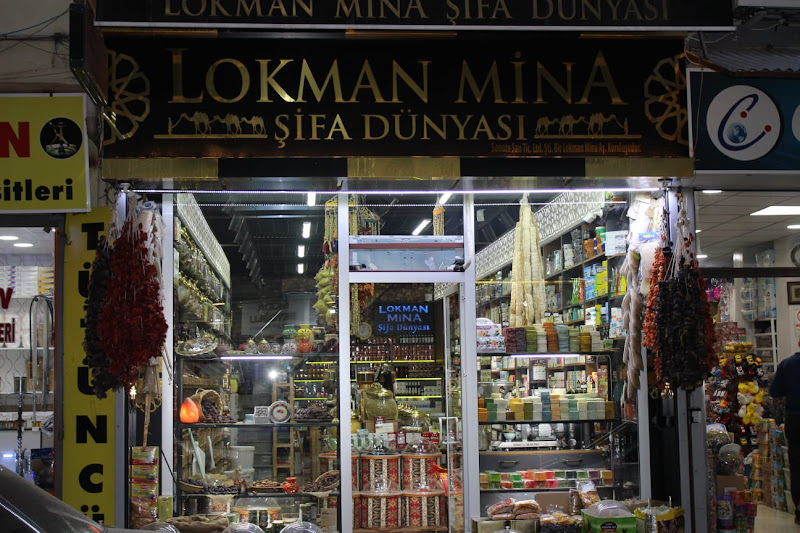 Lokman Mina