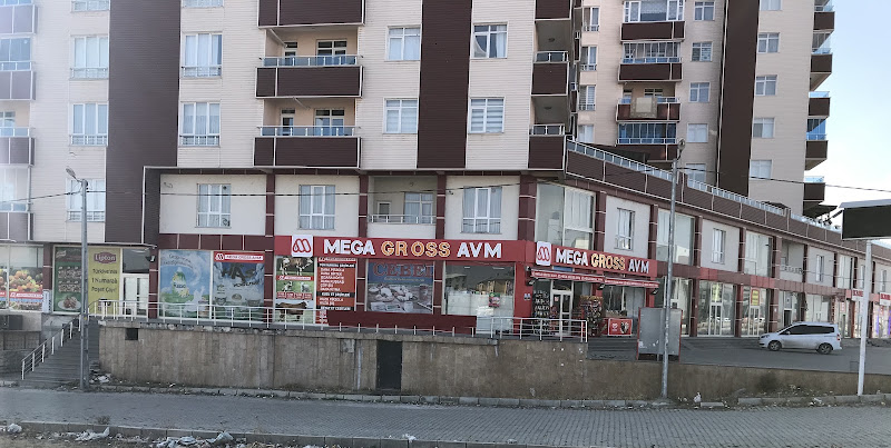 Mega Gross Avm