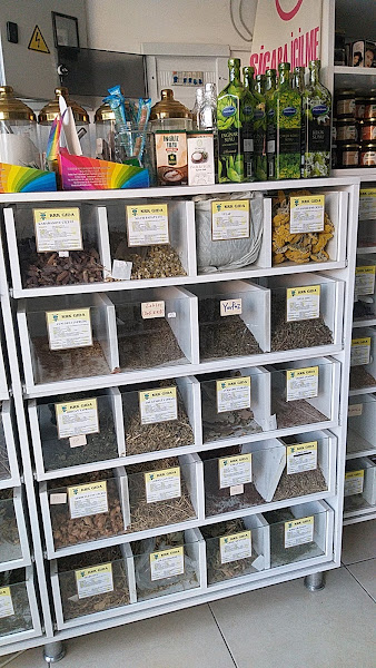 NEVBAHAR AKTAR & BAHARAT