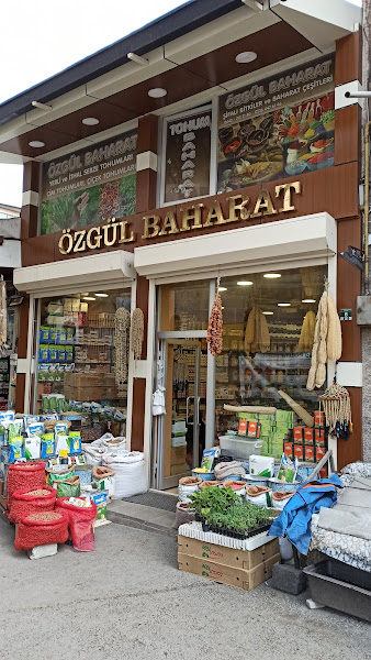 Özgül Baharat