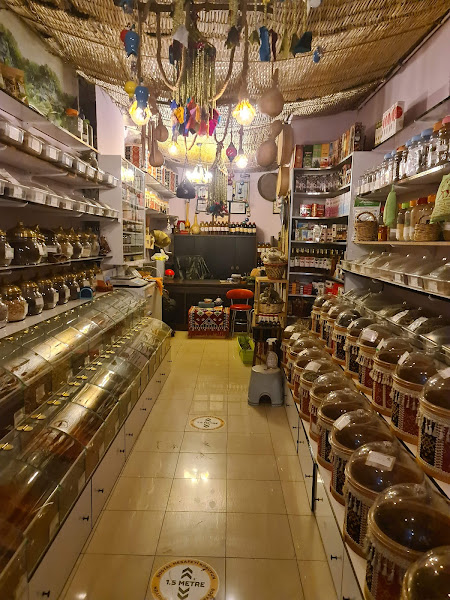 ŞİFA HATUN AKTAR