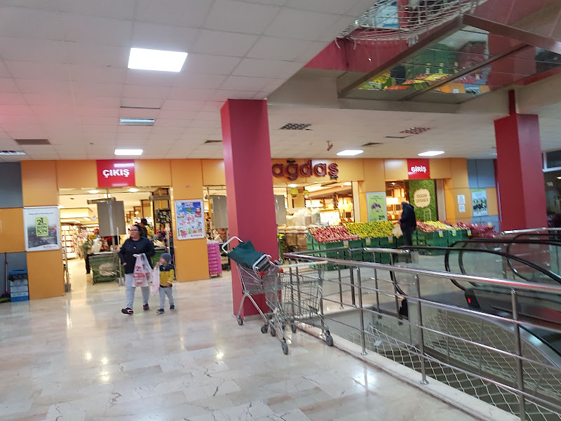 Tilia City AVM