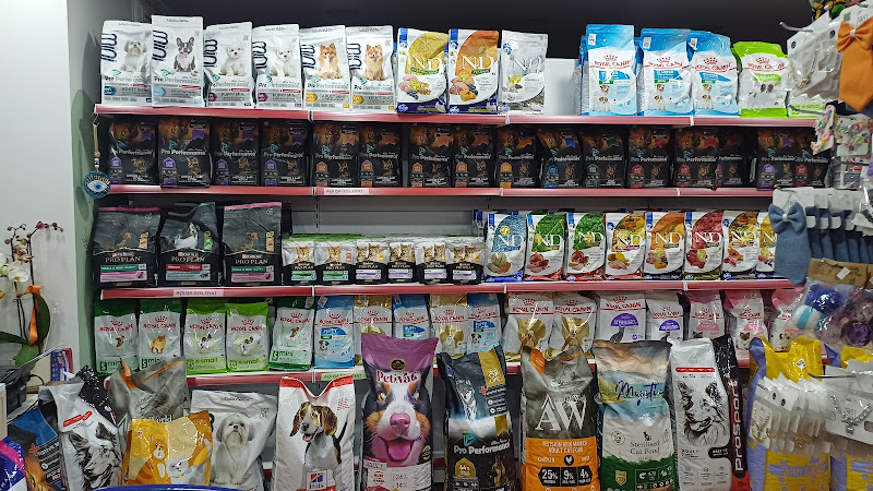 100 yıl petshop