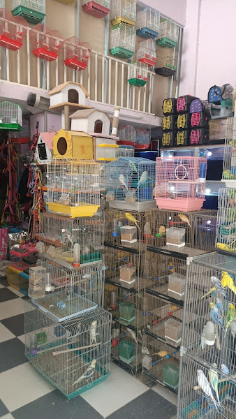 47 Pet Shop