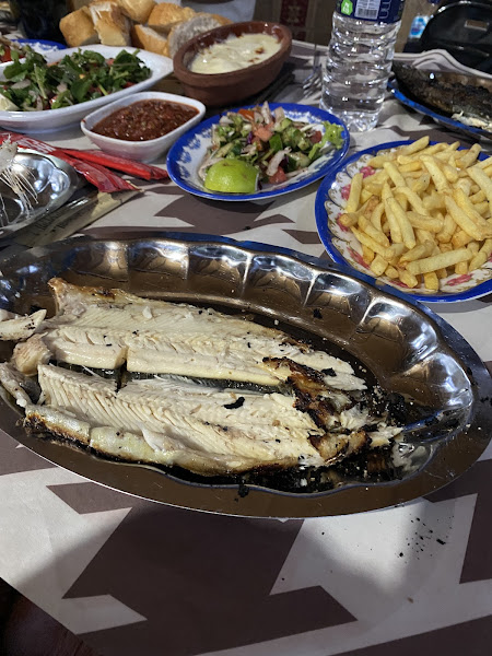 Acar Alabalık