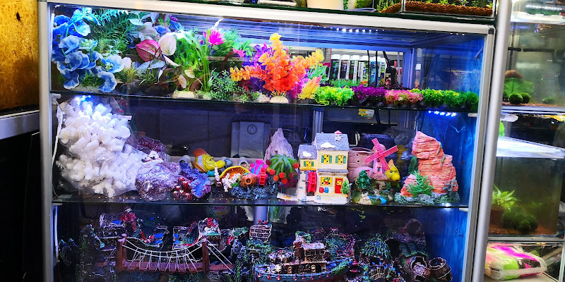 ADA AKVARYUM PET SHOP VE OUDOOR