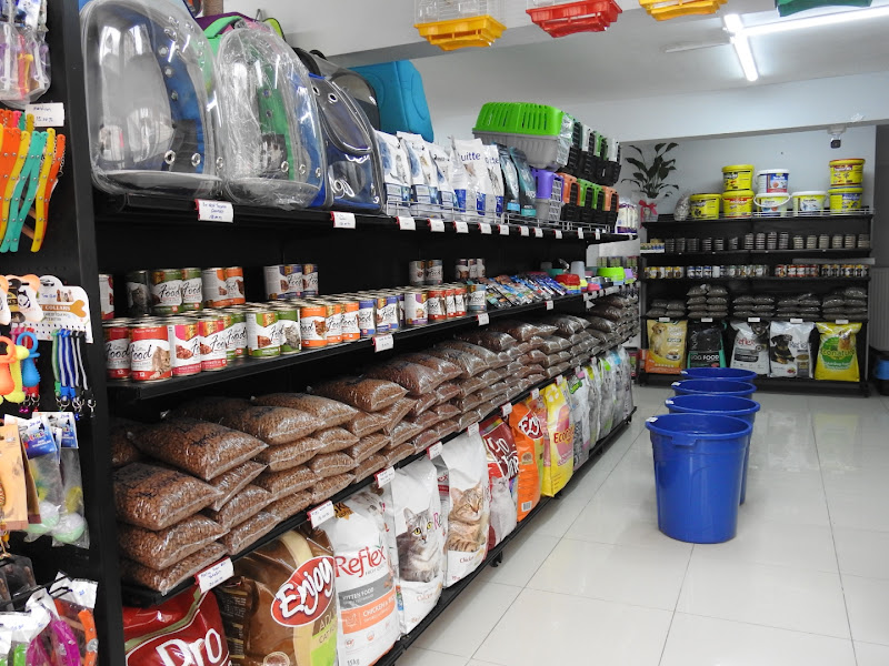Ahsen Petshop