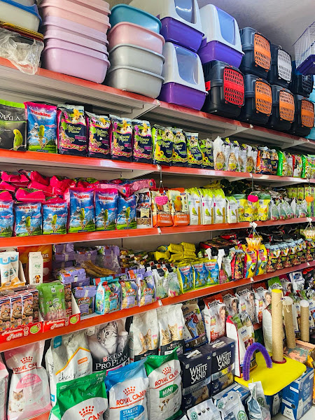 Akbulut Petshop