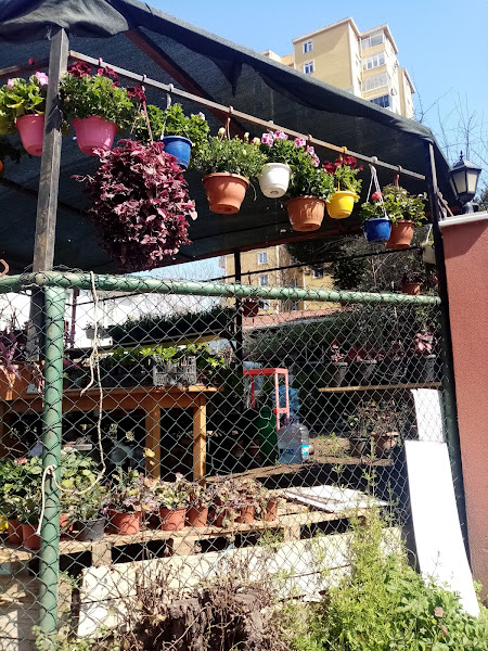 Akdeniz Baharat & Aktar