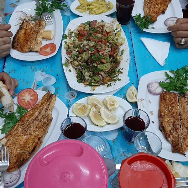 AKDENIZ BALIKCILIK BAHÇE