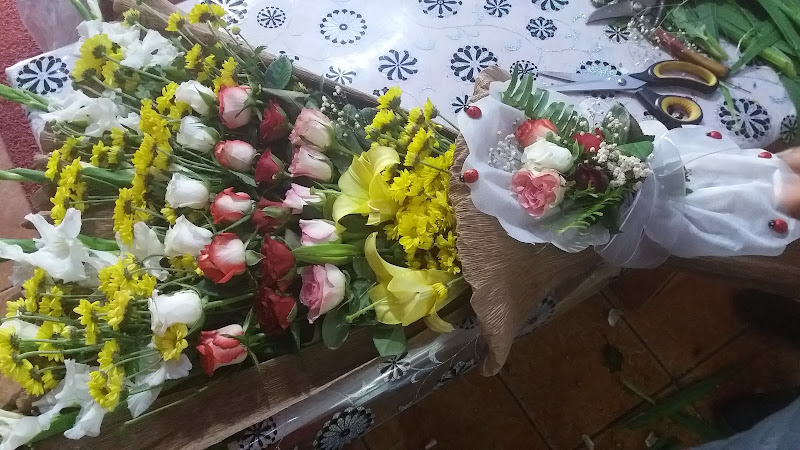 Aksaray Manolya Çiçekçilik