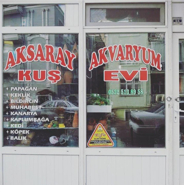 Aksaray pet Kuş Akvaryum Evi (toptan ve parakende )
