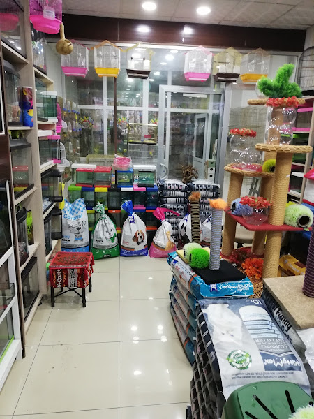 Akvaryum park Pet Shop ve kuş galerisi