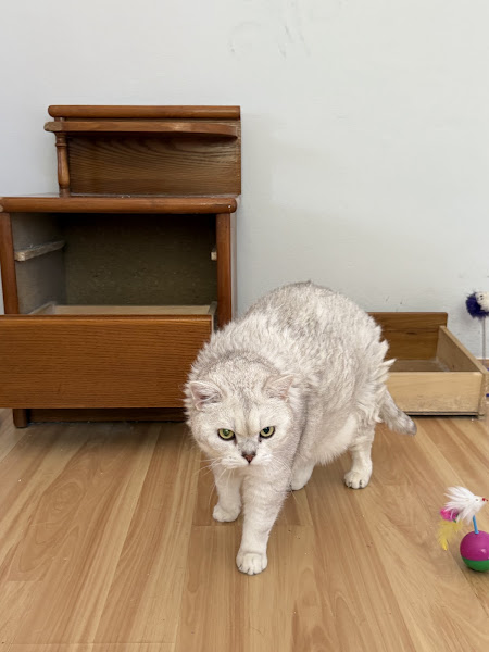 Akvaryum Pet Shop