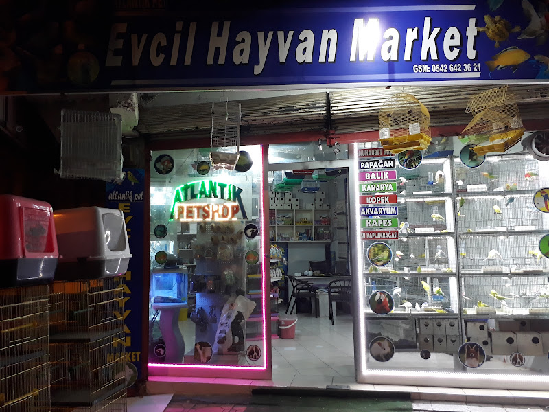 ALATAY PETSHOP TOPTAN VE PERAKENDE SATIS MAGAZASI