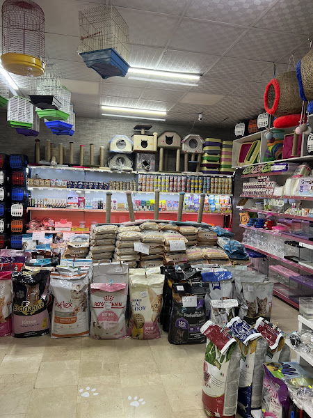 Albino petshop 2