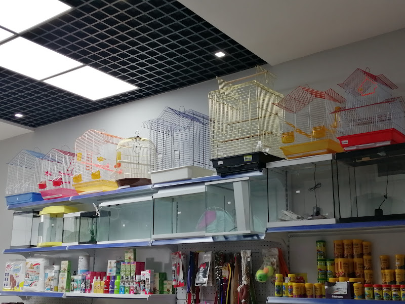 Alibaba Akvaryum Petshop