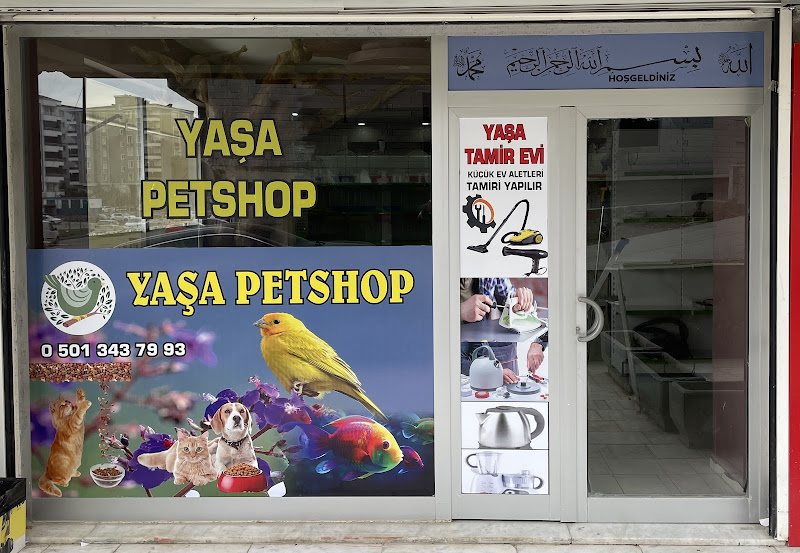Aliş Pet Shop
