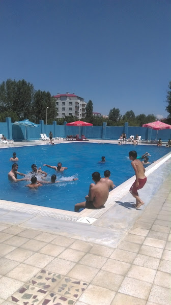 Altay yuzme