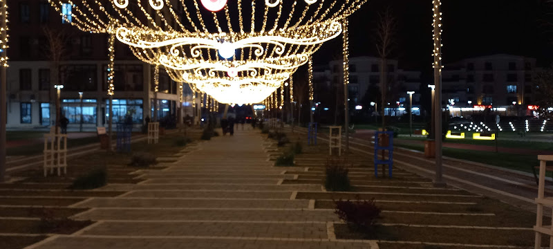 Altıeylül Belediyesi Kapalı Yüzme Havuzu