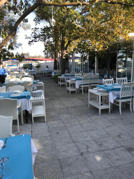 Altın Balık