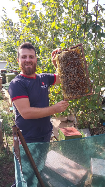 Altın Damla Arıcılık