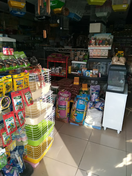 Amazon Akvaryum & Pet Shop