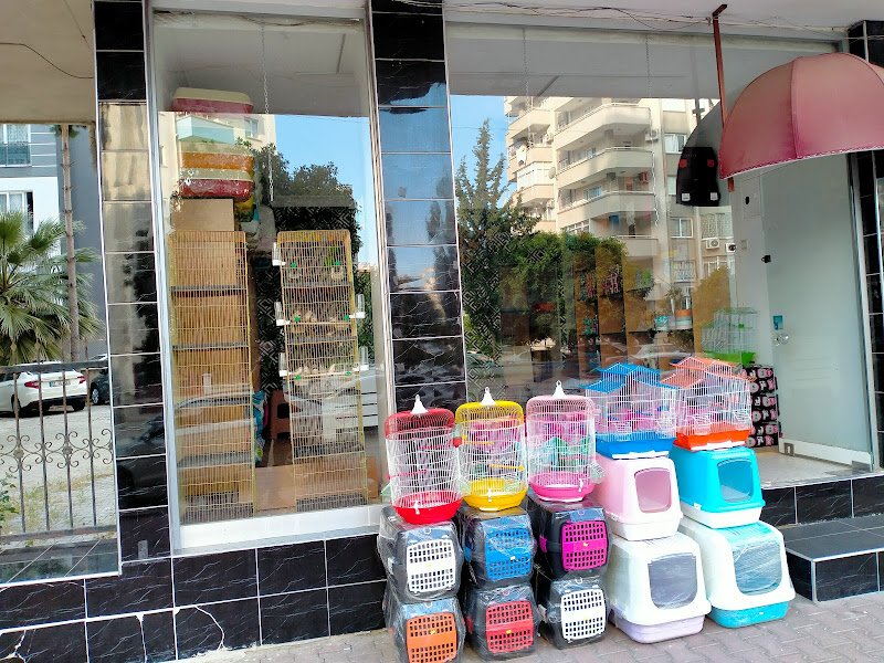 Anemon Petshop Adana