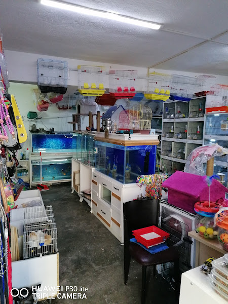 Anil Pet Shop