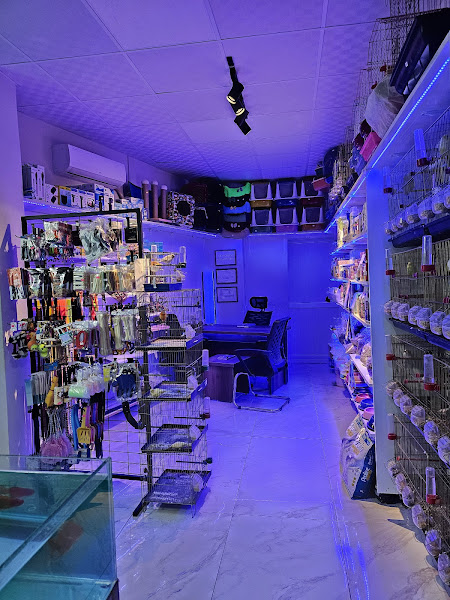 Animal World Pet shop