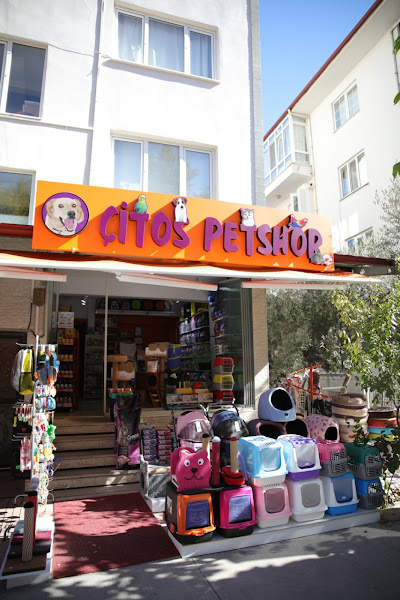 Animals Pet Market