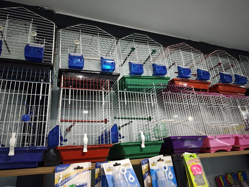 Animals world petshop