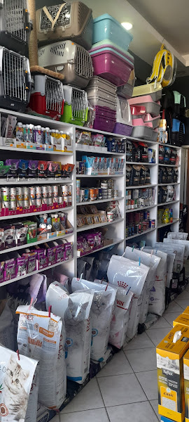 Anka pet Shop
