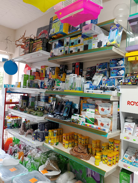 ANTALYA BETTA MARKET KIZILTOPRAK