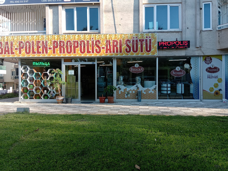 Apimon Arıcılık San.ve Tic.Ltd.Şti. ( Bal,Polen,Arı sütü ve tüm Arıcılık malzemeleri )