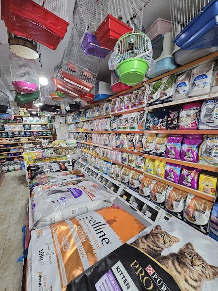 Aqua petshop evcil hayvan ithalat ihracat