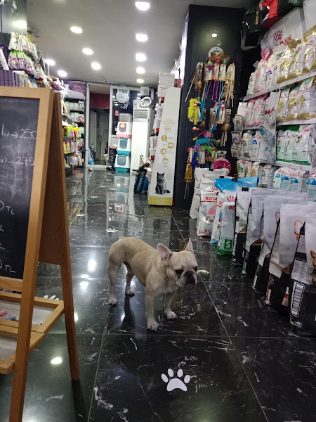 Arapsuyu Petshop
