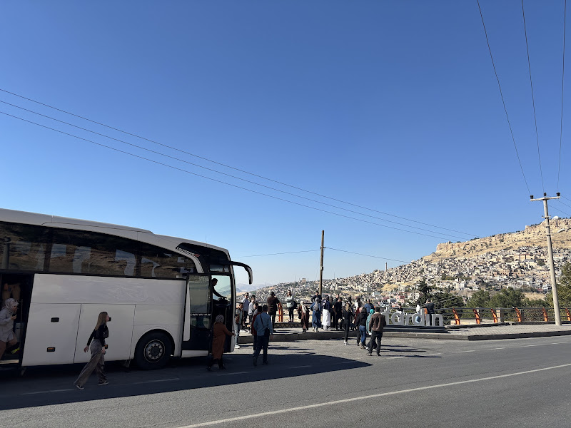 Arat yolcu taşımacılığı