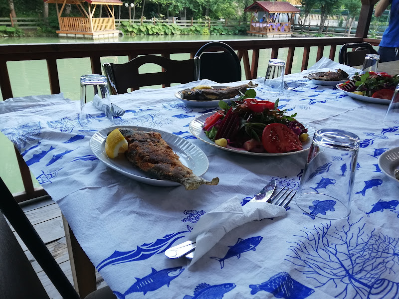 Arslan Alabalık Tesisi BARTIN