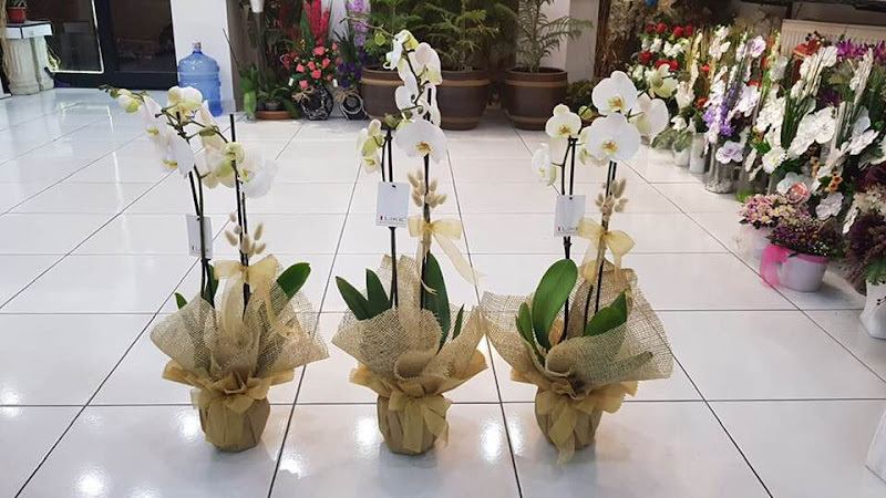 Arzum Çiçekçilik