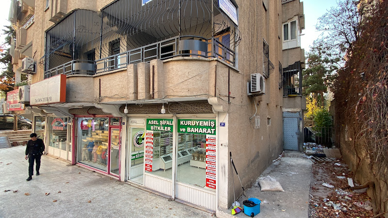 ASEL AKTAR PAZARI
