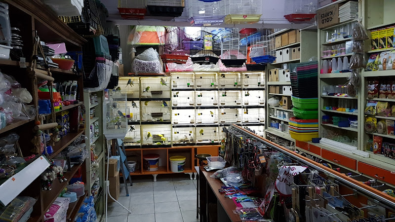 Aşiyan Akvaryum Pet Shop