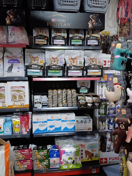 Aslan Kral Pet Shop