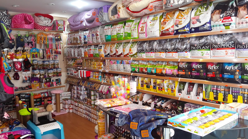 ASLAN PETSHOP FATİH/AKSARAY/CERRAHPAŞA