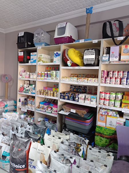 Aslankralpetshop